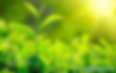 陳亞芹、別智等：國內(nèi)外綠色金融產(chǎn)品與金融政策綜述