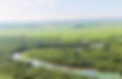 建設(shè)森林城市，擁抱綠色生活 ——國(guó)家森林城市建設(shè)成就綜述