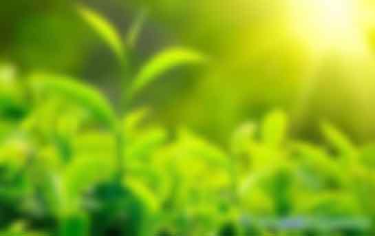 疫情陰影下，CCER憑什么六個(gè)月價(jià)格暴漲三倍？