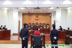 碳匯修復(fù)，解鎖生態(tài)司法綠色基因