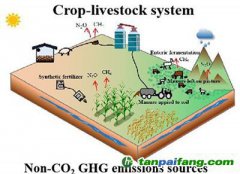 3000美元人均GDP：農(nóng)業(yè)碳減排與經(jīng)濟(jì)脫鉤節(jié)點